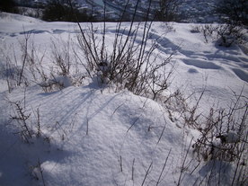 2010-02-01/DSCI5747.JPG