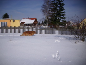 2010-02-01/DSCI5749.JPG