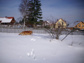 2010-02-01/DSCI5750.JPG