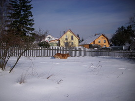2010-02-01/DSCI5751.JPG