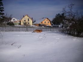2010-02-15/DSCI5752.JPG