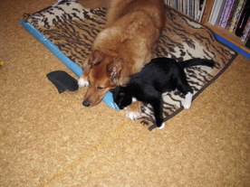 2010-02-15/DSCI5754.JPG