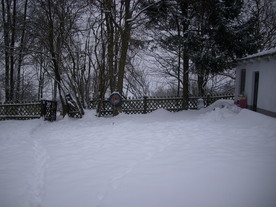 2010-02-15/DSCI5755.JPG