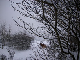 2010-02-15/DSCI5757.JPG