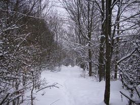 2010-02-15/DSCI5758.JPG