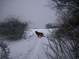 2010-02-15/DSCI5759.JPG