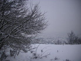 2010-02-15/DSCI5760.JPG