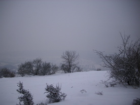2010-02-15/DSCI5761.JPG