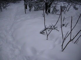 2010-02-15/DSCI5762.JPG
