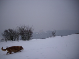 2010-02-15/DSCI5763.JPG