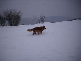 2010-02-15/DSCI5764.JPG