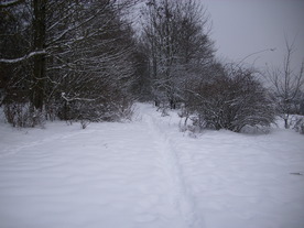 2010-02-15/DSCI5765.JPG