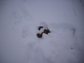 2010-02-15/DSCI5766.JPG