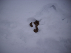 2010-02-15/DSCI5767.JPG