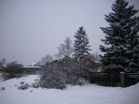 2010-02-15/DSCI5768.JPG