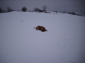 2010-02-15/DSCI5771.JPG
