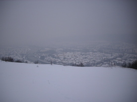 2010-02-15/DSCI5773.JPG