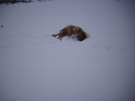 2010-02-15/DSCI5774.JPG