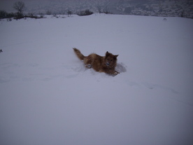 2010-02-15/DSCI5775.JPG