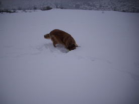 2010-02-15/DSCI5776.JPG