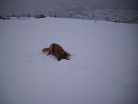 2010-02-15/DSCI5777.JPG