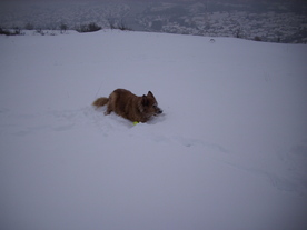 2010-02-15/DSCI5778.JPG