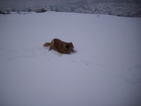 2010-02-15/DSCI5779.JPG