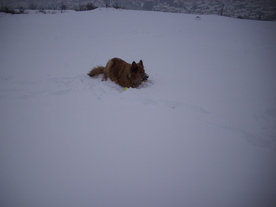 2010-02-15/DSCI5781.JPG