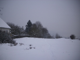 2010-02-15/DSCI5782.JPG