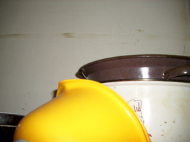 2010-02-15/DSCI5784.JPG