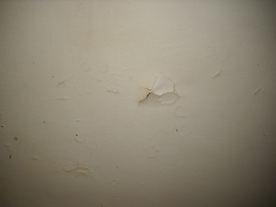 2010-02-15/DSCI5785.JPG