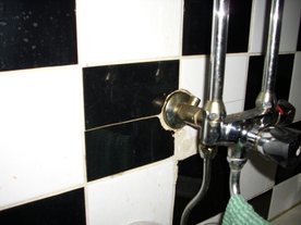 2010-02-15/DSCI5786.JPG