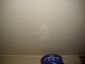 2010-02-15/DSCI5790.JPG