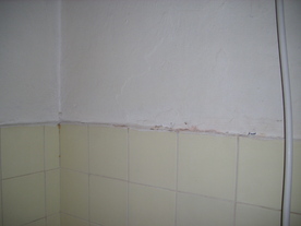 2010-02-15/DSCI5792.JPG