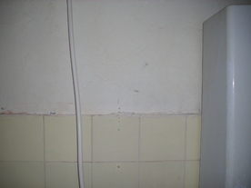 2010-02-15/DSCI5793.JPG