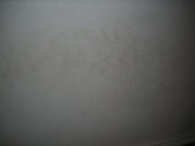 2010-02-15/DSCI5796.JPG