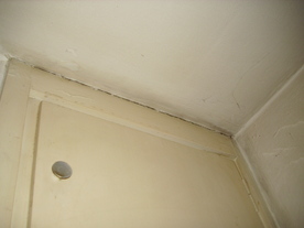 2010-02-15/DSCI5798.JPG