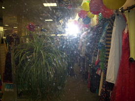 2010-02-15/DSCI5799.JPG