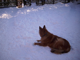 2010-02-15/DSCI5804.JPG