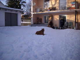 2010-02-15/DSCI5807.JPG