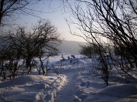 2010-02-15/DSCI5808.JPG