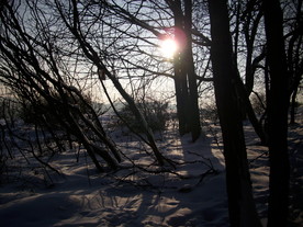 2010-02-15/DSCI5809.JPG