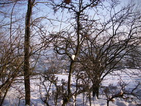 2010-02-15/DSCI5811.JPG