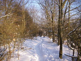 2010-02-15/DSCI5812.JPG
