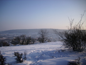 2010-02-15/DSCI5814.JPG