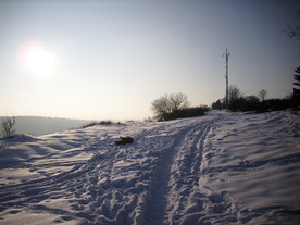 2010-02-15/DSCI5815.JPG