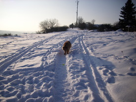 2010-02-15/DSCI5816.JPG