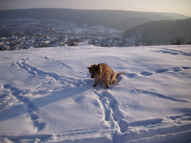 2010-02-15/DSCI5819.JPG
