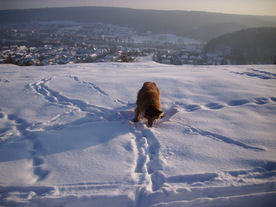 2010-02-15/DSCI5820.JPG