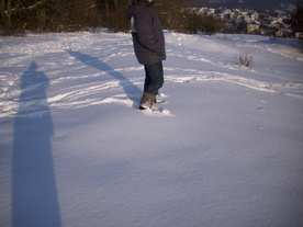 2010-02-15/DSCI5821.JPG